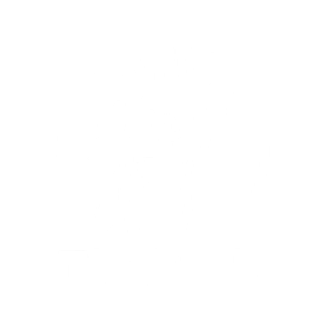 ThnkLab Mad Genius mark